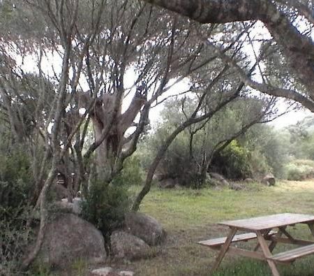 Les Bergeries D'Ogliastrello Villa Figari  Eksteriør bilde