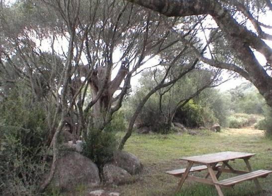 Les Bergeries D'Ogliastrello Villa Figari  Eksteriør bilde